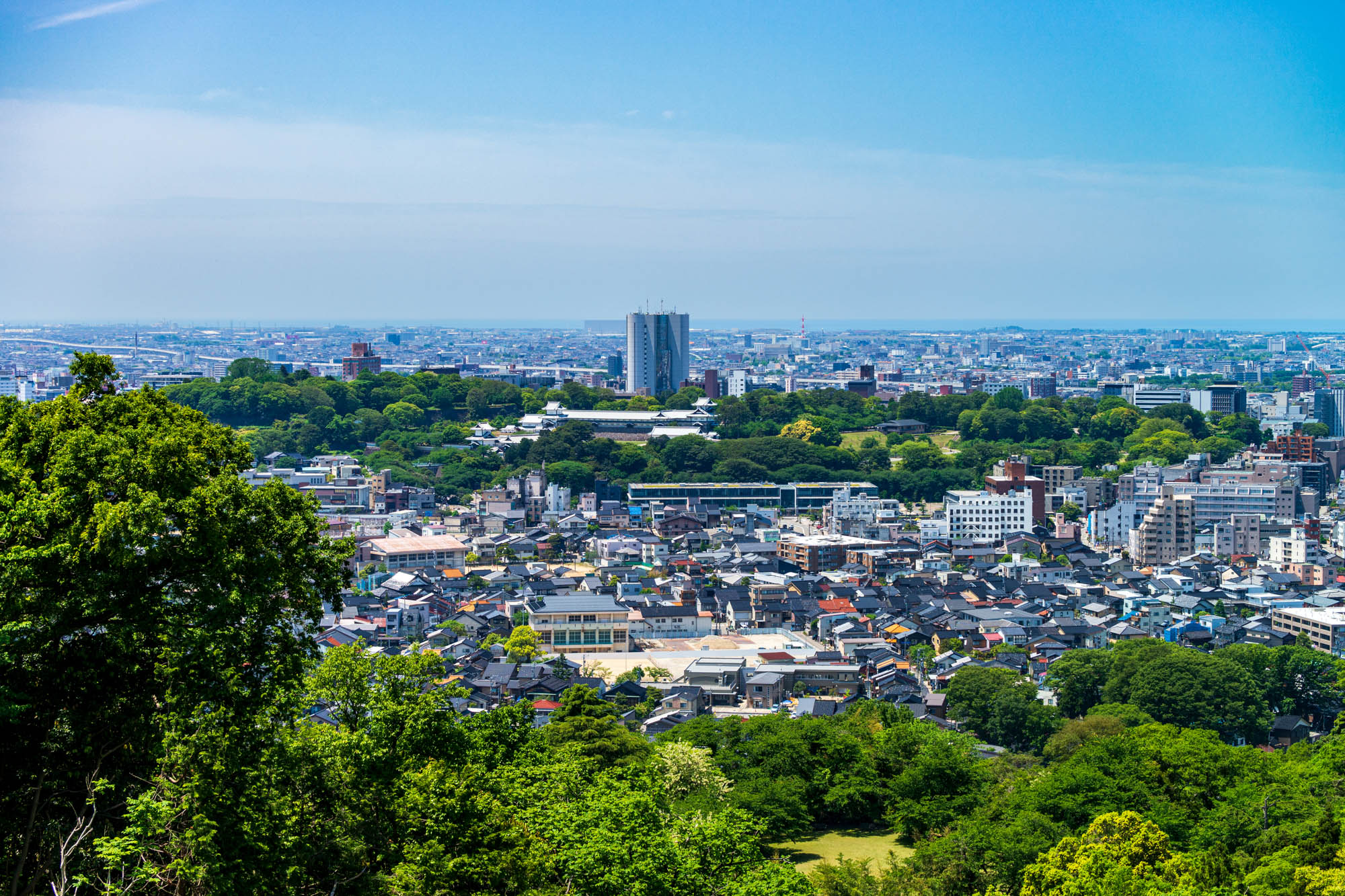 まちの背景となる木々