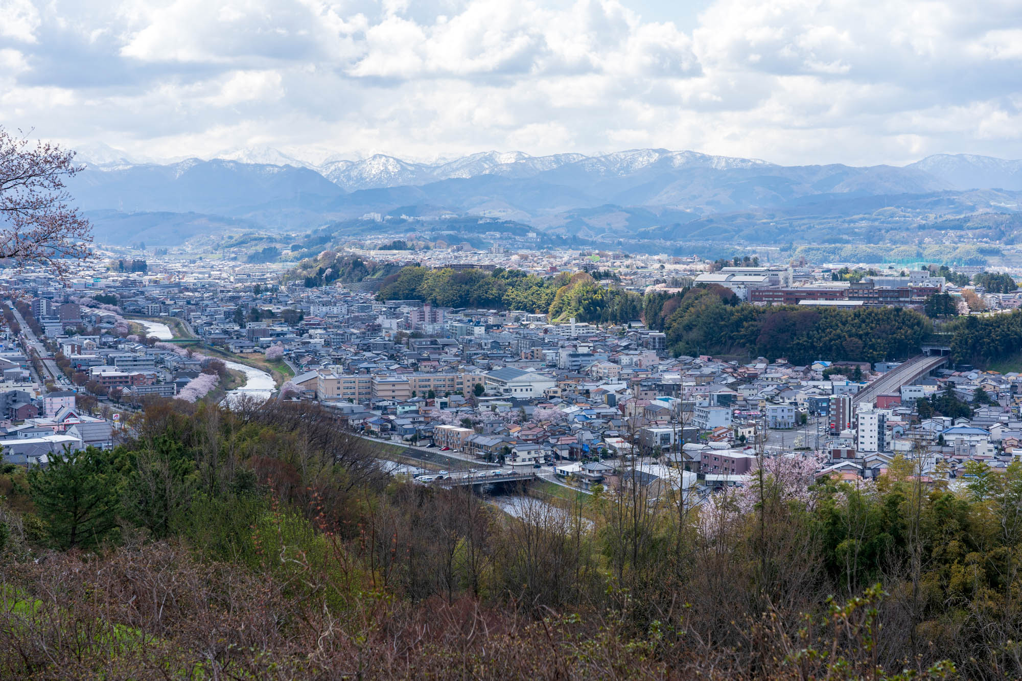 まちの背景となる木々