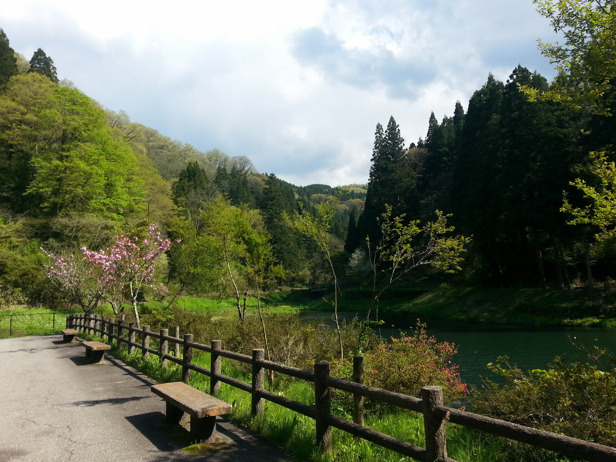 森に親しむ
